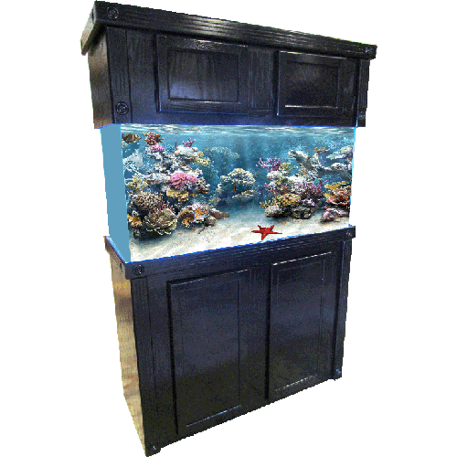 Empire Oak Reef Series