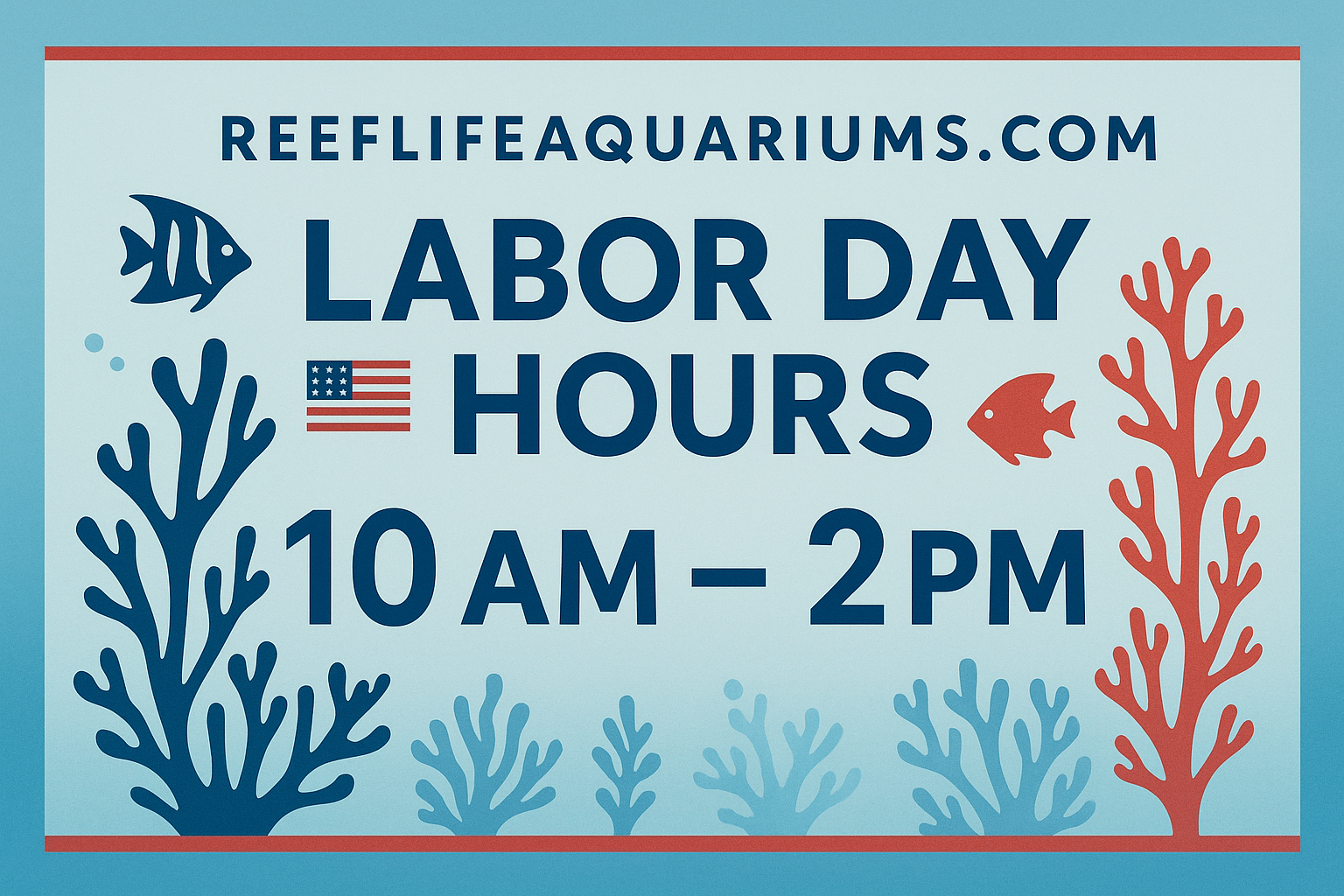 10 am - 2pm