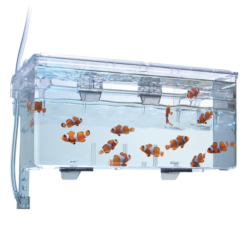 Multi-Chamber Holding & Breeding Box