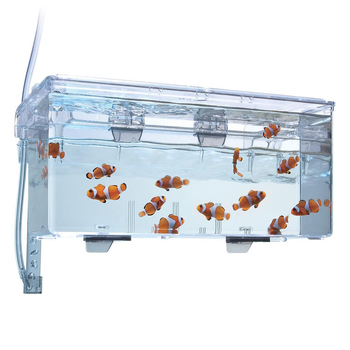 Multi-Chamber Holding & Breeding Box