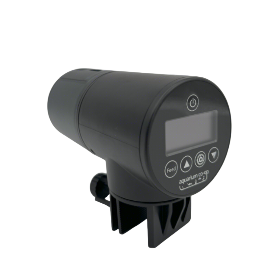 Auto Feeder
