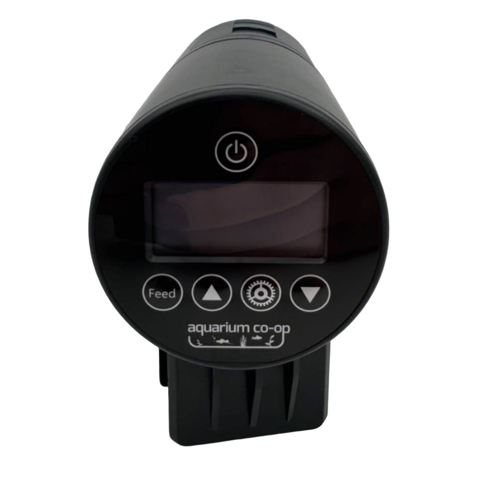 Auto Feeder