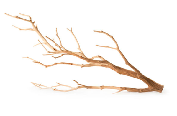 Manzanita Branch 13" - 18"
