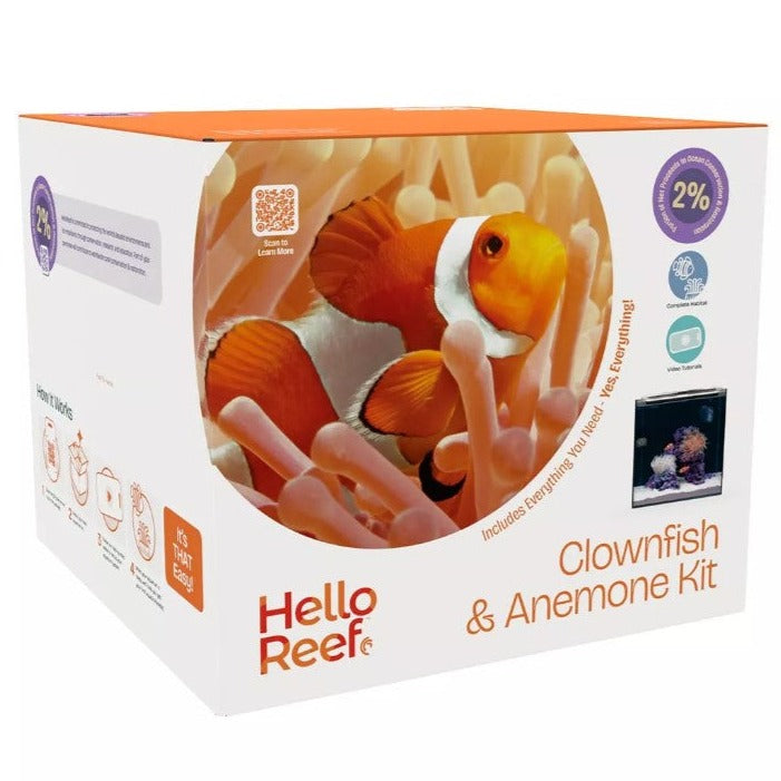 Clownfish & Anemone Aquarium Kit