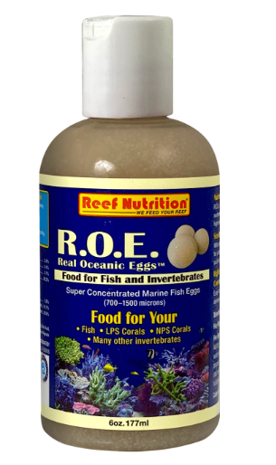 Real Ocean Eggs 6 oz