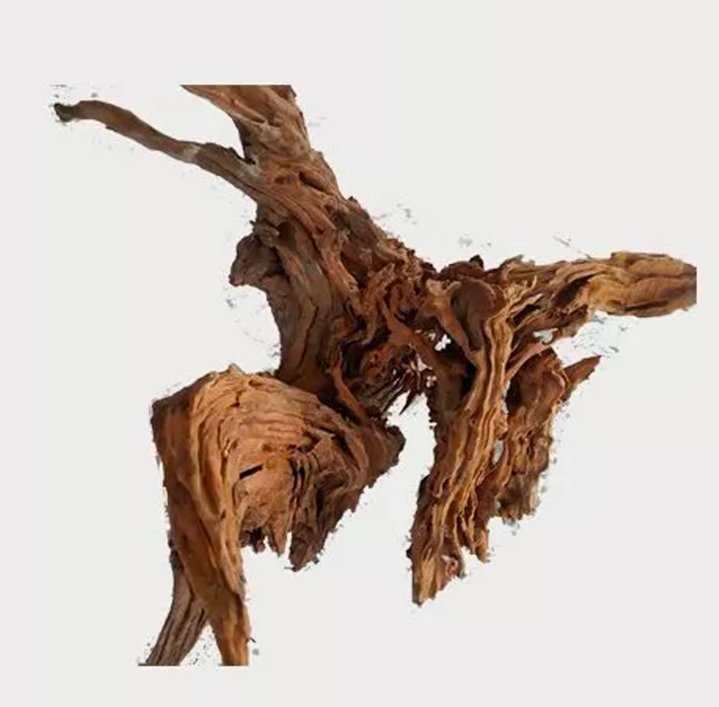 Pacific Wood XL