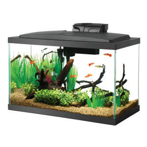 Aqueon 10 Gallon LED Aquarium Kit Black