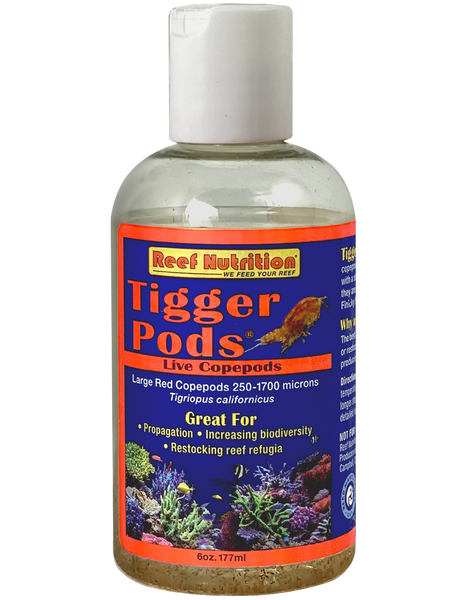 Tigger Pods 6oz