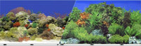Coral Reef Aquarium Background 12"