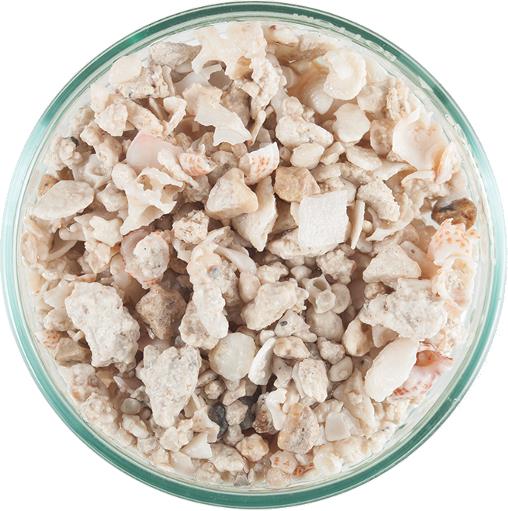 CaribSea Florida Crushed Coral 15lb