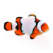 Snow Onyx Clownfish