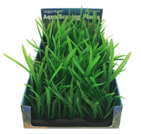 Penn-Plax Aqua-Scaping Bunch Plant Medium Hairgrass