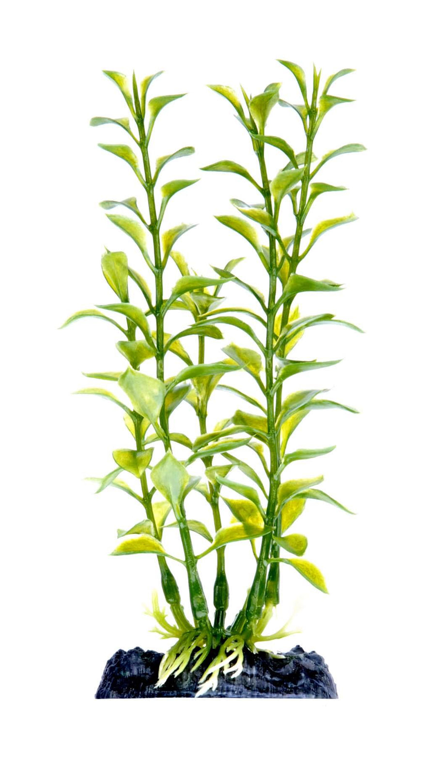 Penn-Plax 6” Blooming Ludwigia (Green)