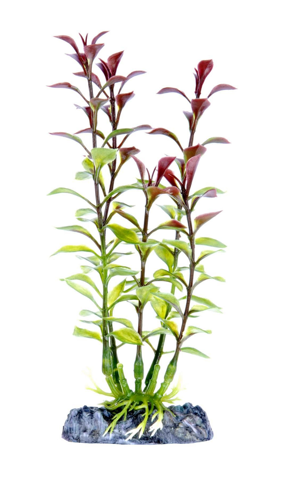 Penn-Plax 6” Blooming Ludwigia (Red)