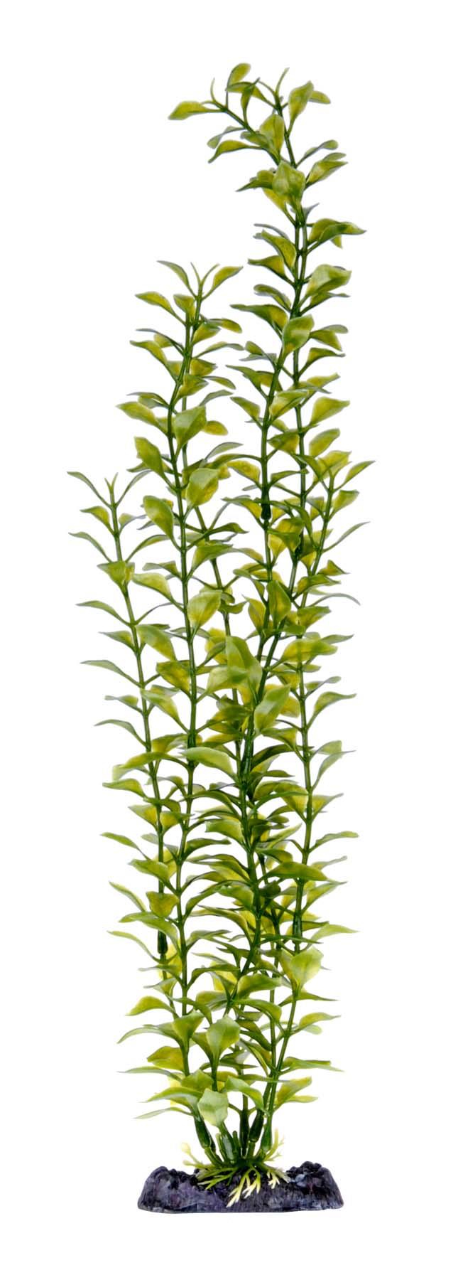 Penn-Plax 18” Blooming Ludwigia (Green)