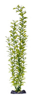 Penn-Plax 18” Blooming Ludwigia (Green)