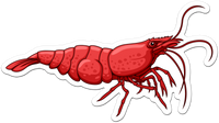 Red Cherry Shrimp Sticker 3"
