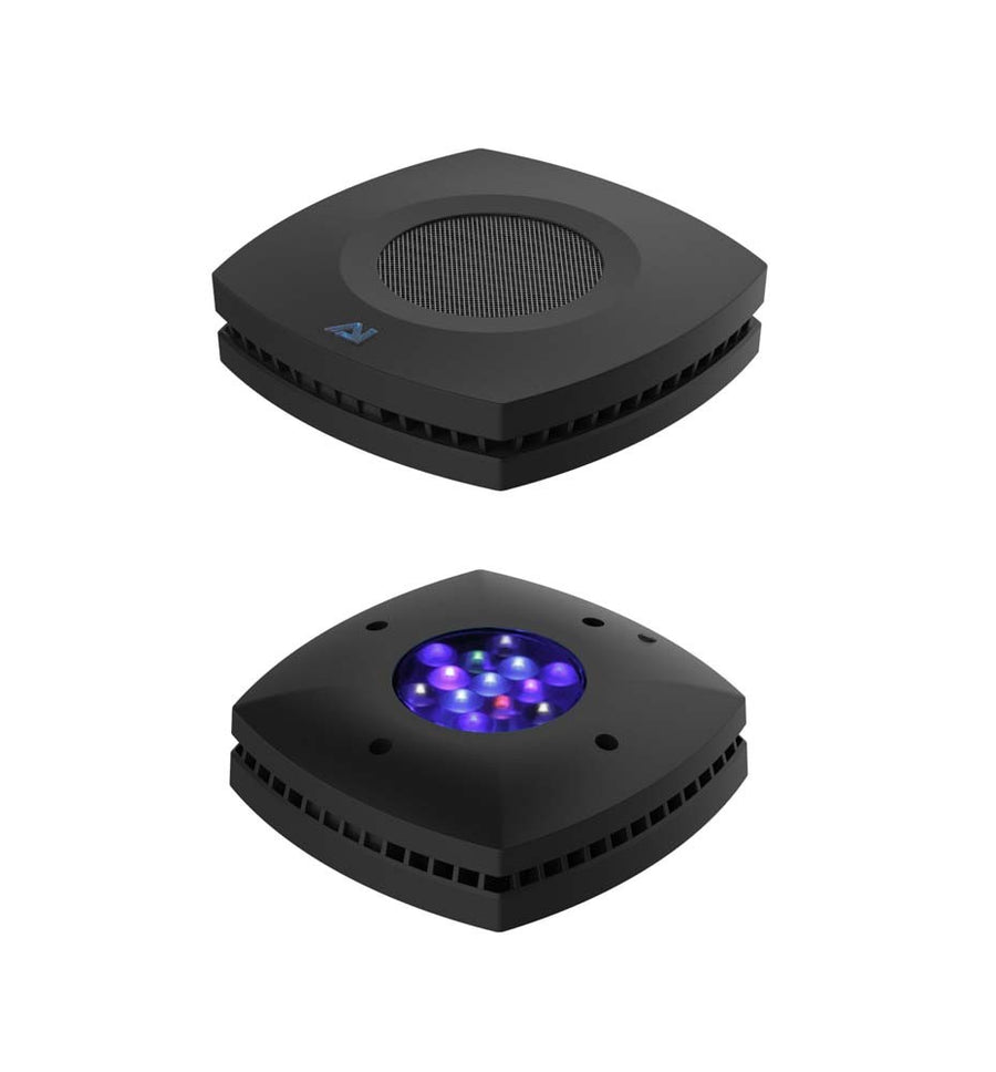 Prime 16HD LED Reef Light - Black Body