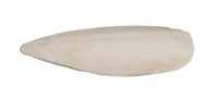 Cuttle Bone 4 inch