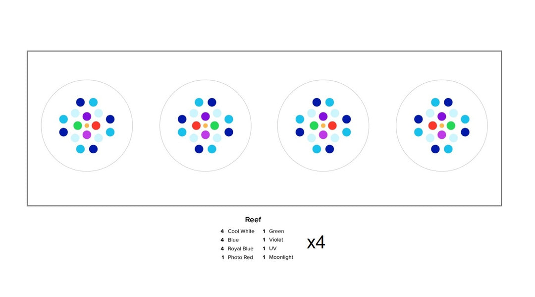 Hydra 64 HD LED Lighting Fixture (Black)