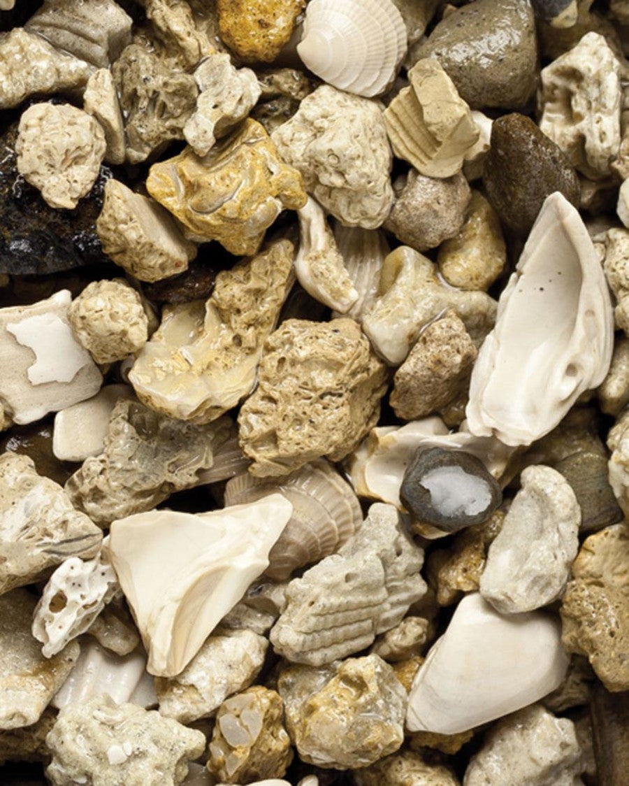 African Cichlid Mix Gravel 20 lb