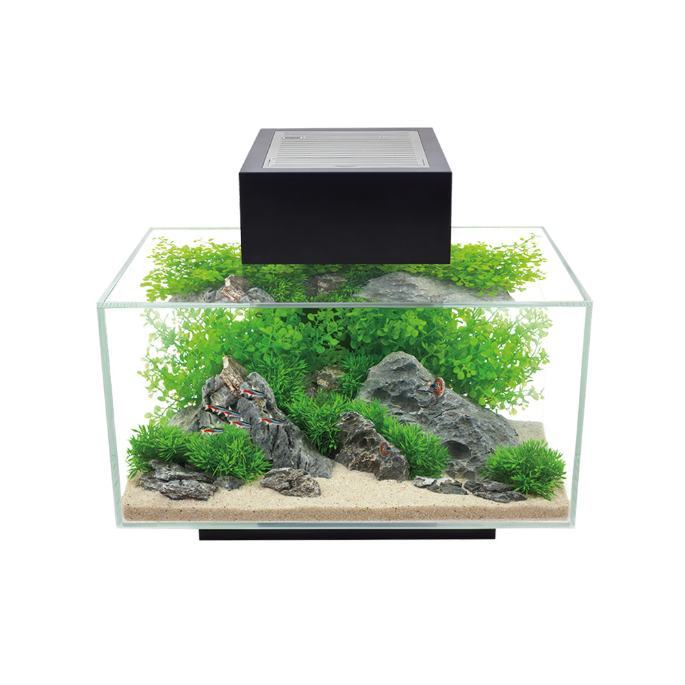 Fluval EDGE Aquarium Kit - 23 L (6 US gal) - Black