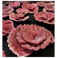 Real Reef Plate Rock/piece