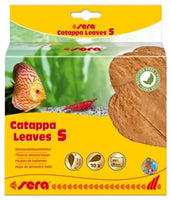 Sera Catappa Leaves Sm 14cm 10 Pcs