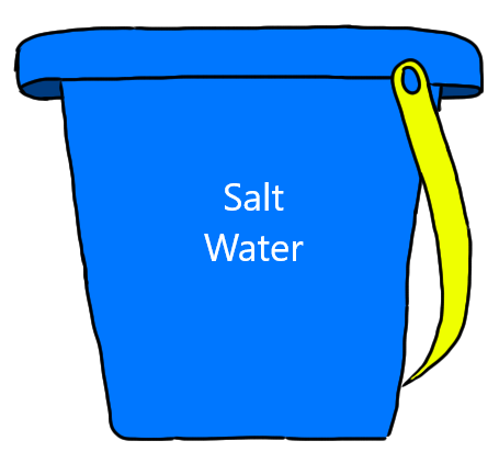 5 Gallons Saltwater (Includes Bucket)