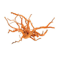 Pisces Spiderwood Small 8-12"