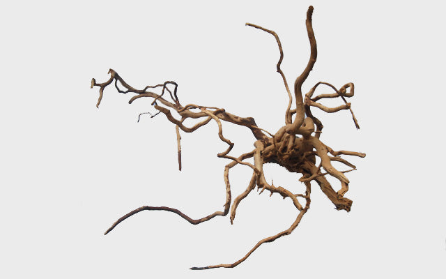30"-40" Spider Wood XXXL