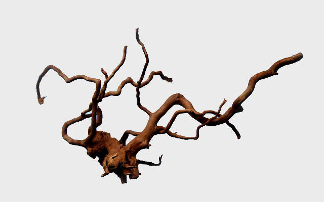 15"-20" Spider Wood Medium