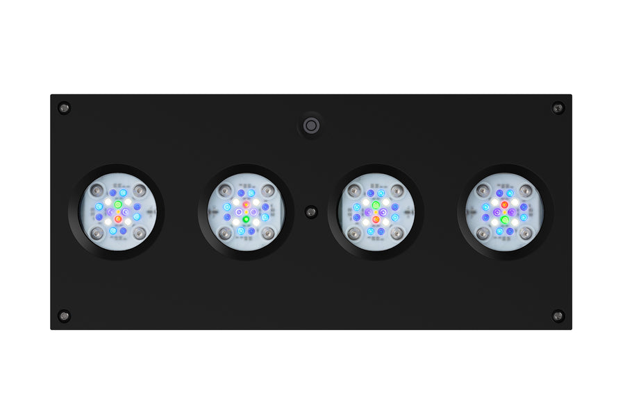 Hydra 64 HD LED Lighting Fixture (Black)