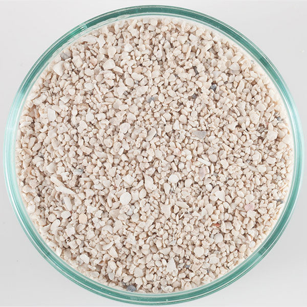 Caribsea Arag-Alive Special Grade Reef Sand