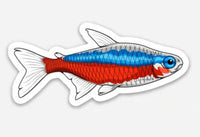 Cardinal Tetra Sticker 3"