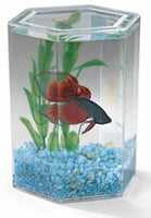 Beta Hex Mini Tank Kit