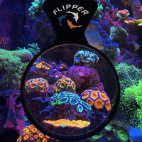 Deepsee Magnified Magnetic Viewer 4" - Flipper