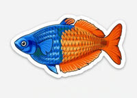 Boesemani Rainbowfish Sticker 3"