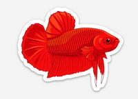 Betta 6 Sticker 3"