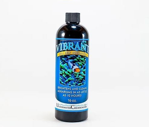 UWC Reef Vibrant 16oz
